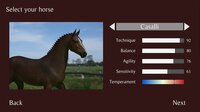 Pro Show Jumping screenshot, image №4009297 - RAWG
