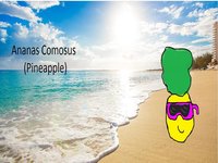 Ananas Comosus screenshot, image №1775216 - RAWG