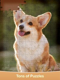 Jigsaw Puzzles - Daily Puzzles screenshot, image №3522513 - RAWG