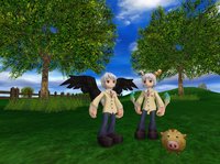 Holy Beast Online screenshot, image №516620 - RAWG