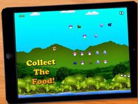 Bouncing Hedgehog! - Help The Launch Tiny Baby Hedgehog To Catch His Food! screenshot, image №1980926 - RAWG