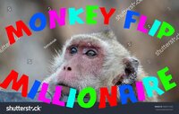 Monkey Flip Millionaire screenshot, image №3867920 - RAWG