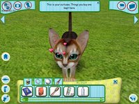 Catz 6 screenshot, image №469005 - RAWG