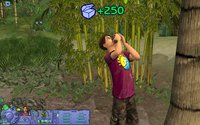 The Sims: Castaway Stories screenshot, image №479322 - RAWG