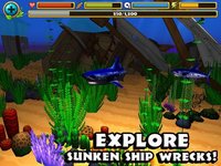Wildlife Simulator: Shark screenshot, image №955242 - RAWG