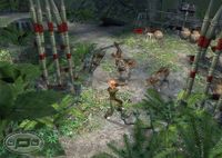 Dungeon Siege 2 screenshot, image №381321 - RAWG