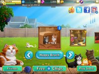 Bingo Cats screenshot, image №1611110 - RAWG