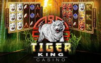 Slots Tiger King Casino Slots screenshot, image №1408138 - RAWG