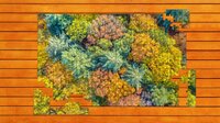 Aerial Nature Jigsaw Puzzles screenshot, image №3934345 - RAWG