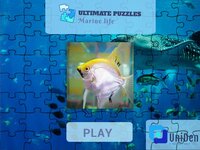 Ultimate Puzzles Marine Life screenshot, image №2855655 - RAWG