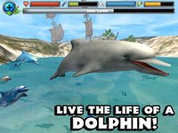 Dolphin Simulator screenshot, image №1968031 - RAWG