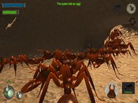 Ant Simulation 3D Full screenshot, image №2174243 - RAWG