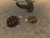 Zoo Tycoon 2: African Adventure screenshot, image №449177 - RAWG