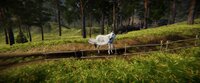 Animal Simulator screenshot, image №3132997 - RAWG