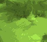 Fat Nucky Stroll (Stroll 3) screenshot, image №1927590 - RAWG