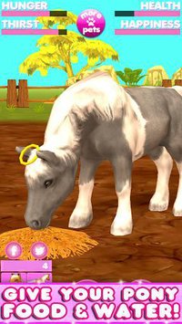 Virtual Pet Pony screenshot, image №1561849 - RAWG