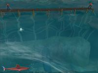 Jaws Unleashed screenshot, image №408213 - RAWG