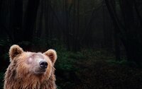 The Long Hibernation of the Eternal Dormouse screenshot, image №3745110 - RAWG