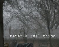 never a real thing screenshot, image №2432026 - RAWG