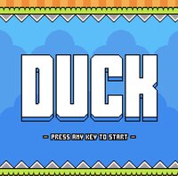 The Duck Game (Jake64) screenshot, image №3395269 - RAWG