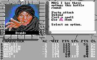 The Bard's Tale II: The Destiny Knight screenshot, image №321503 - RAWG