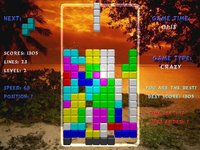 Tetris Arena screenshot, image №379088 - RAWG