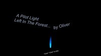 A Pilot Light Left In A Forest... screenshot, image №2479849 - RAWG