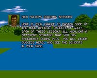 Nick Faldo's Championship Golf (1992) screenshot, image №746557 - RAWG