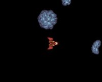 RandomAsteroids screenshot, image №3785970 - RAWG