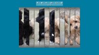 Jigsaw Puzzle Lovers screenshot, image №3771996 - RAWG