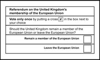 Duckton Declares: The Referendum! screenshot, image №1229334 - RAWG