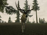 Deer Hunter 2005 screenshot, image №405101 - RAWG