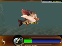 Matt Hayes' Fishing screenshot, image №334570 - RAWG