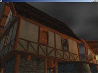 Darkfall Online screenshot, image №351429 - RAWG