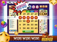 Bingo Country Vibes screenshot, image №1857902 - RAWG