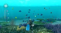 Endless Ocean: Blue World screenshot, image №254169 - RAWG