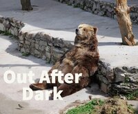 Out After Dark screenshot, image №2936152 - RAWG