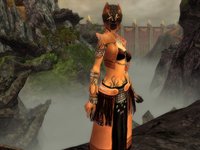 Guild Wars Factions screenshot, image №705778 - RAWG