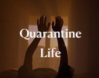 Quarantine Life screenshot, image №3361543 - RAWG