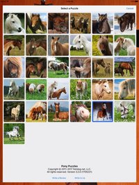 Pony Puzzles screenshot, image №948571 - RAWG