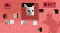 Ultimate Puzzles Cats 3 screenshot, image №3170430 - RAWG