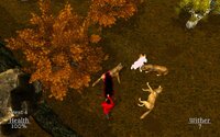Seasons of the Sorcerer screenshot, image №3633183 - RAWG
