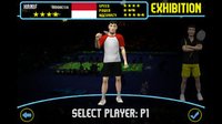 Super Badminton screenshot, image №66632 - RAWG