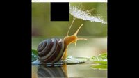 hgmGame-snail screenshot, image №4223387 - RAWG