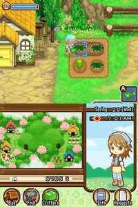 Harvest Moon DS: The Tale of Two Towns screenshot, image №257418 - RAWG