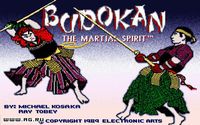 Budokan: The Martial Spirit screenshot, image №314533 - RAWG