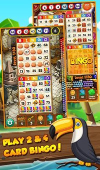 Bingo Treasure Quest - Paradise Island Riches screenshot, image №2079653 - RAWG