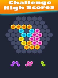 Hex Fill Brain: Hexagon Blocks screenshot, image №1325823 - RAWG