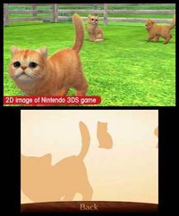 nintendogs + cats: Golden Retriever & New Friends screenshot, image №783020 - RAWG