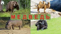 Учись Читать (полная версия) screenshot, image №1558883 - RAWG